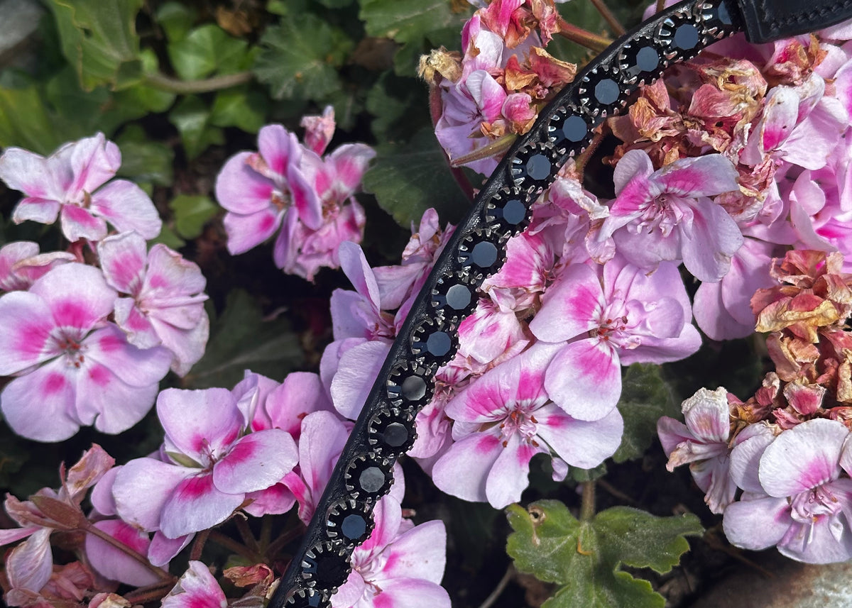 Signature Stirnriemen Black