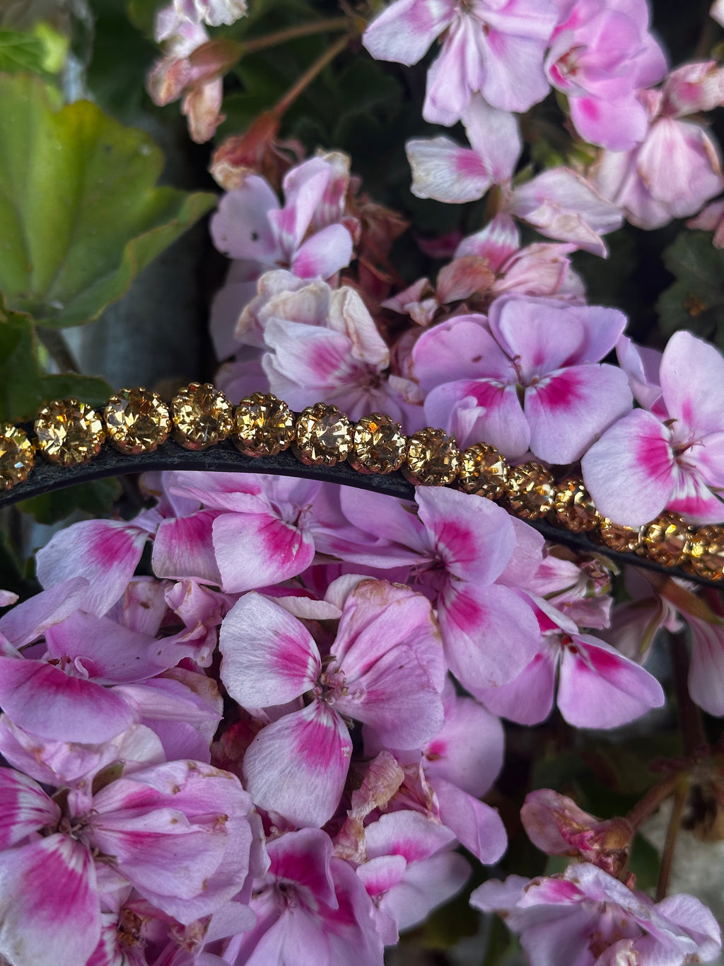 Signature Stirnriemen Golden Dream